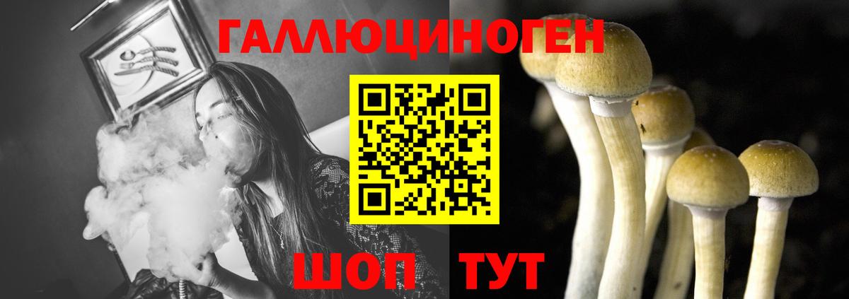 Зеленодольск  Псилоцибиновые грибы Magic Shrooms  Вход с VPN 